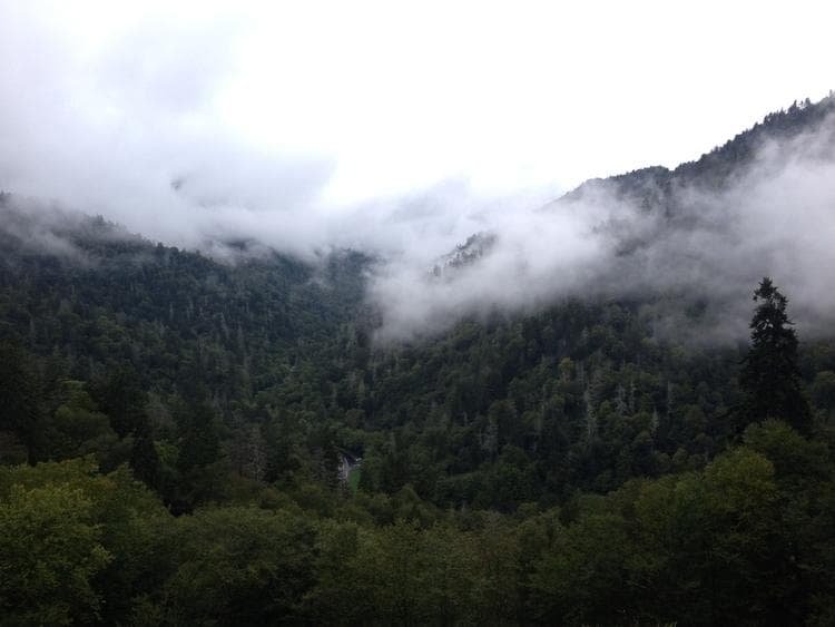 Alum Bluffs + Lower Mt LeConte