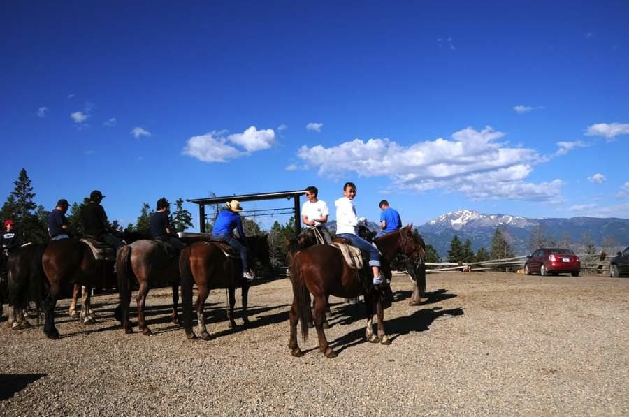 Horseback Riding Adventure at Flying Pig Adventure Company