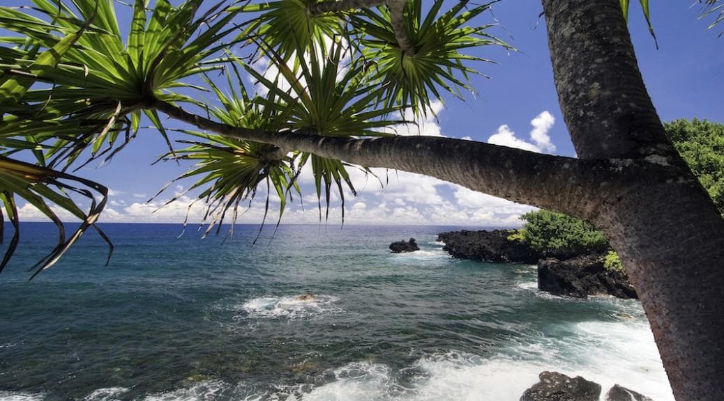 Explore Hawaii's Volcanic Wonders with Private Volcano Explorer