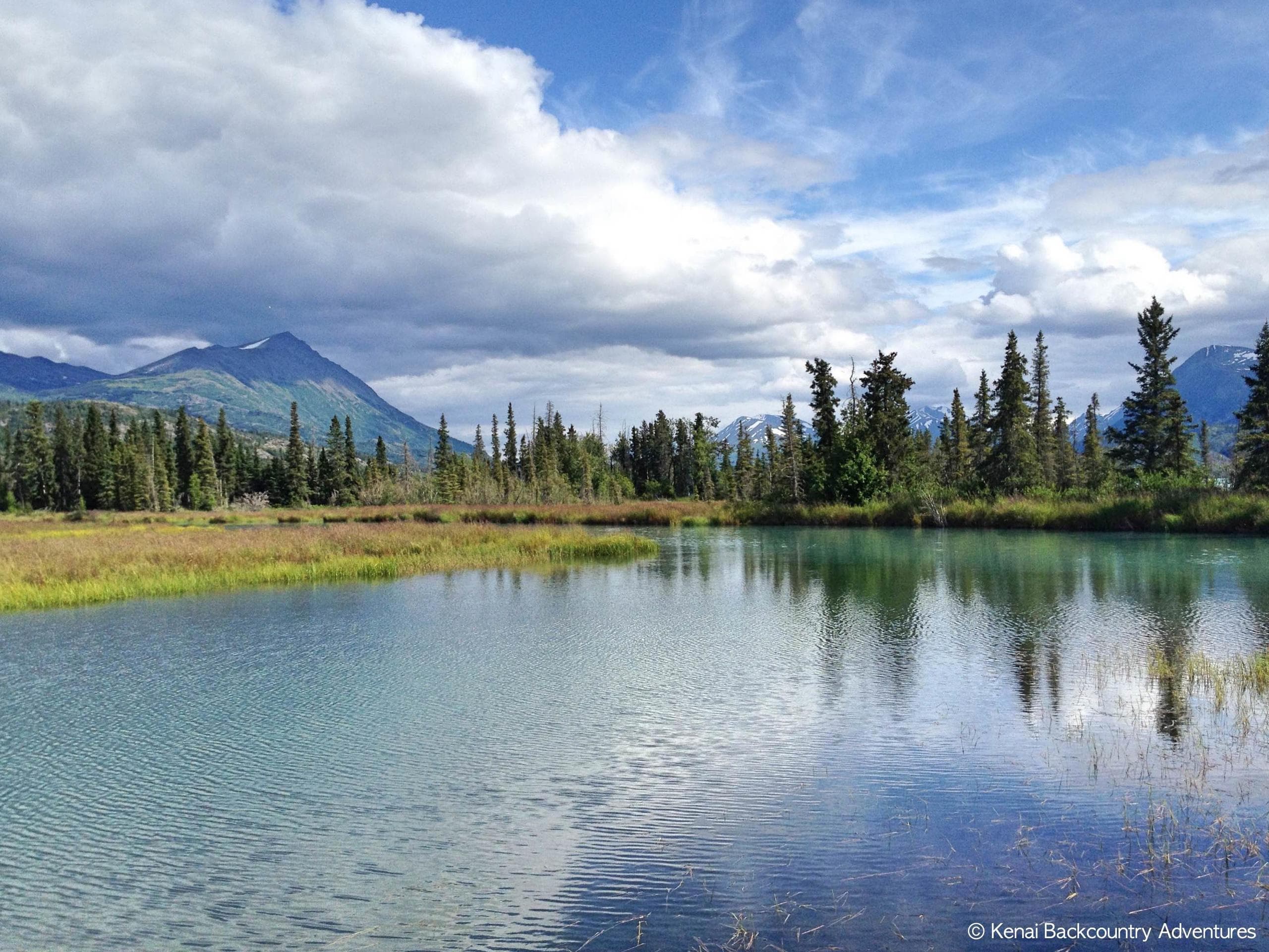 Wilderness Hiking in Kenai National Wildlife Refuge
