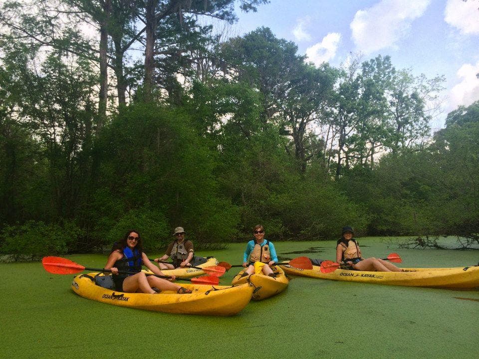 Paddle Manchac Swamp: Private Wildlife Kayak Tour from New Orleans
