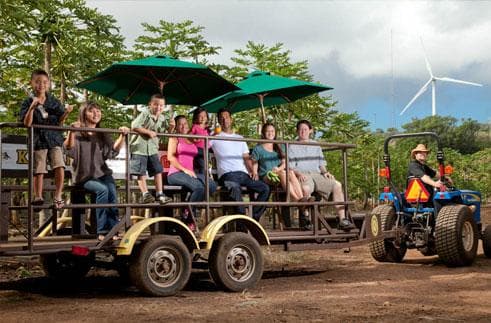 Cacao & Fruit Wagon Ride at Kahuku Farms in Hawaii