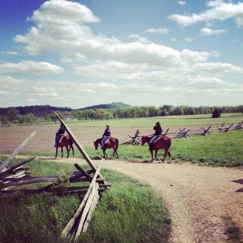Horse Tours of Gettysburg fleet