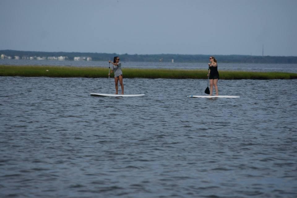 Small group paddleboarding on shallow calm coastal waters