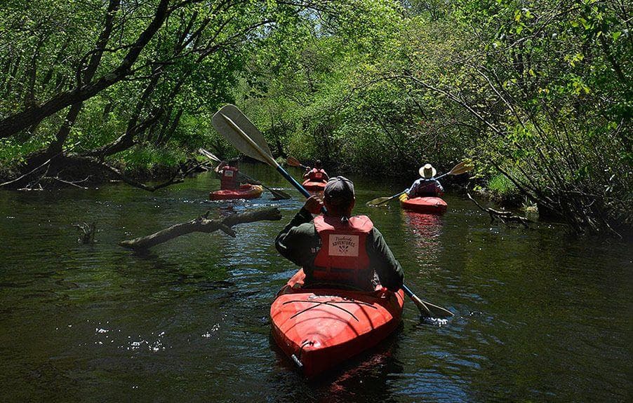 Pinelands Adventures fleet