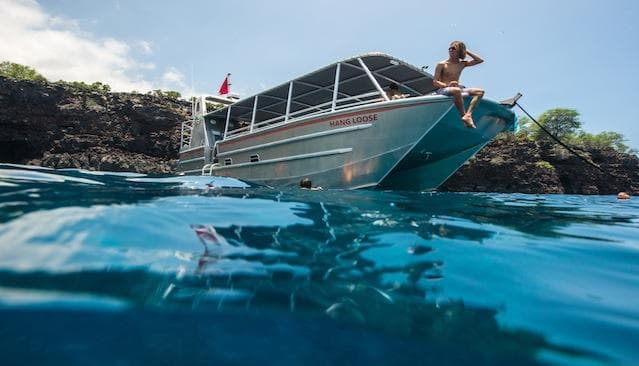 Private Manta Ray Night Adventure with Hang Loose Boat Tours