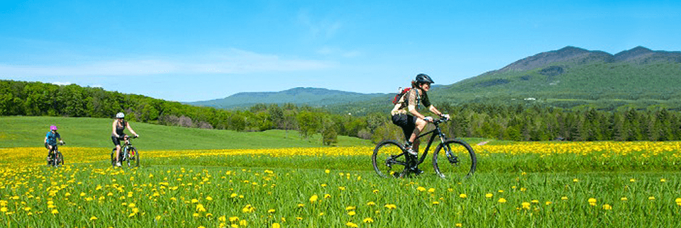 Cyclists riding through wildflower meadow with mountain views
