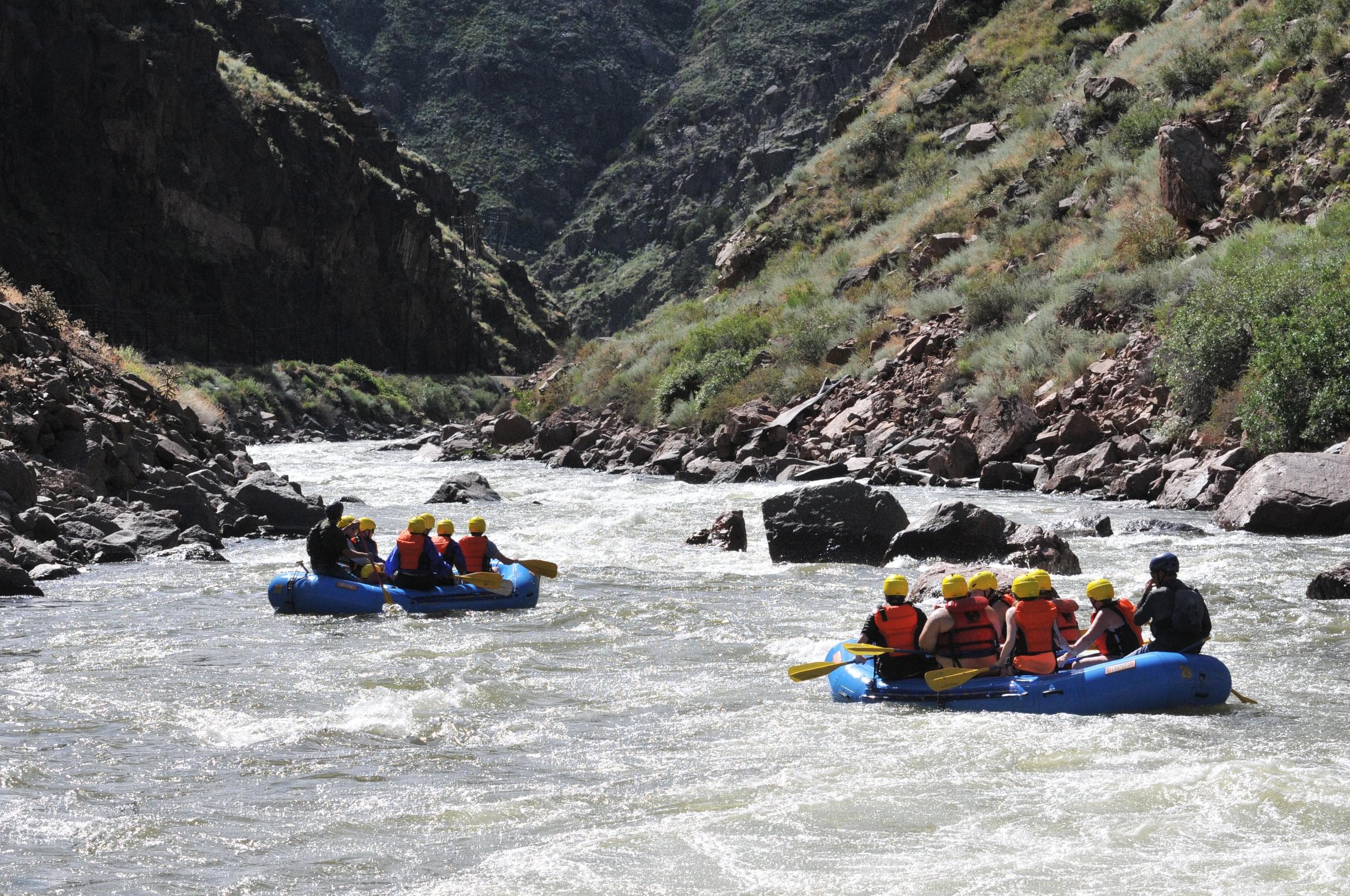 Multiple rafts navigating scenic canyon river rapids