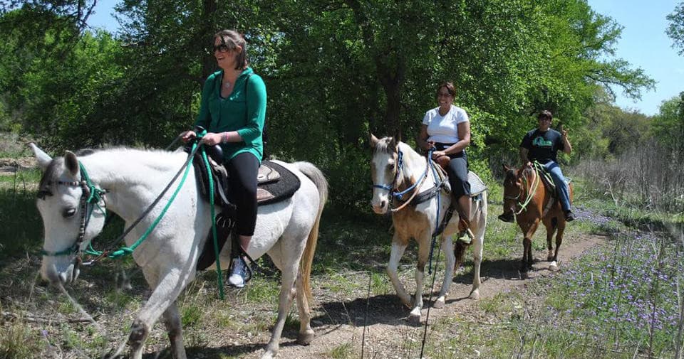 Sips N Saddles: Horseback Trail Ride and BYOB Paint Night in San Antonio