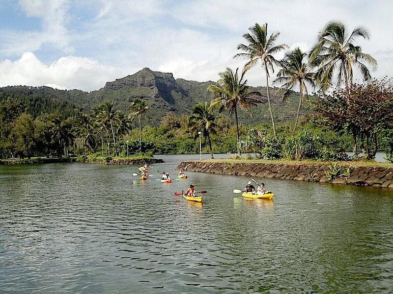 Weekday Wailua River Kayak Tour — Paddle Kapaʻa Rainforest Canyons & Waterfalls