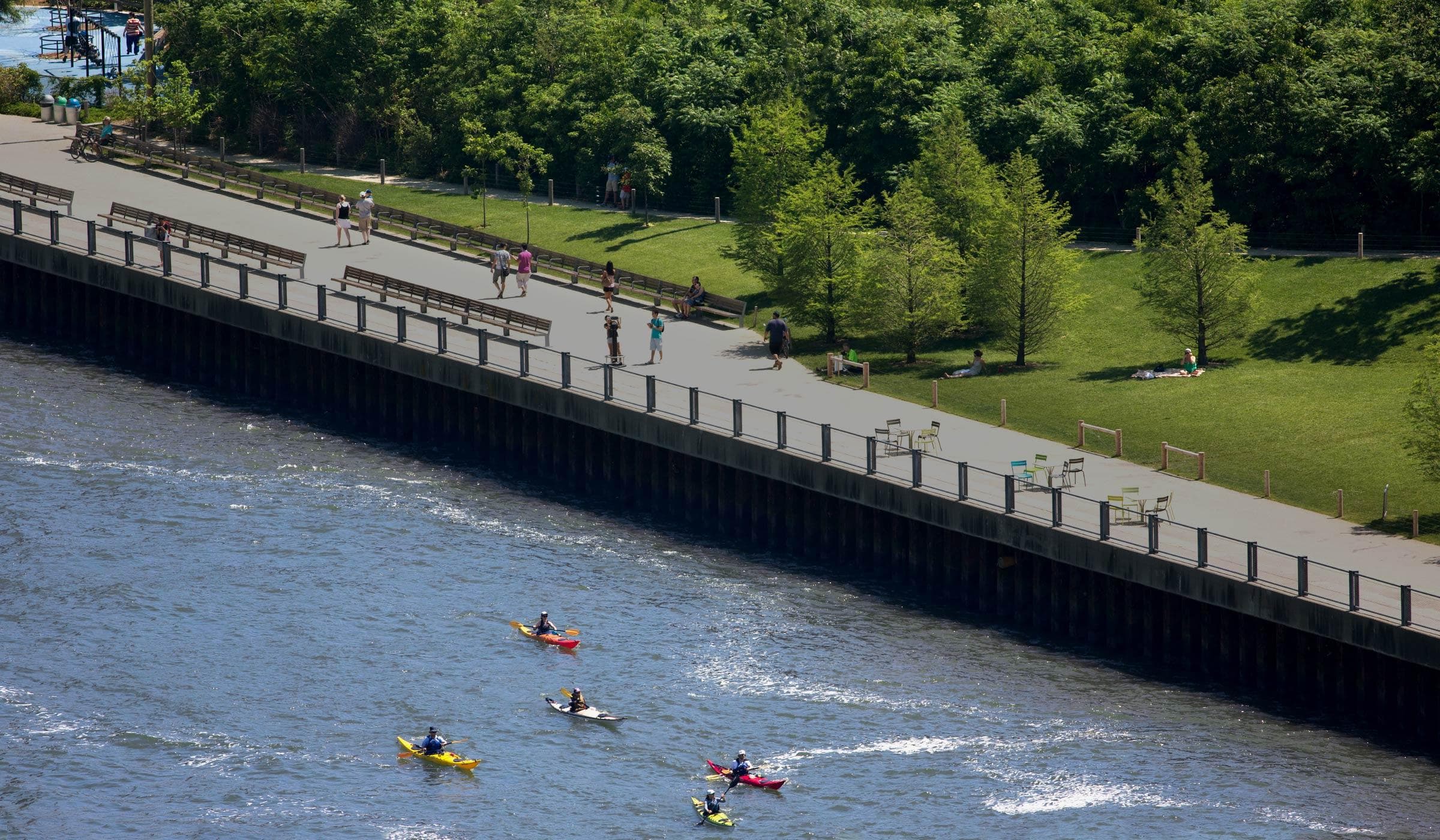 Kayakers paddling near green riverside path at Brooklyn waterfront