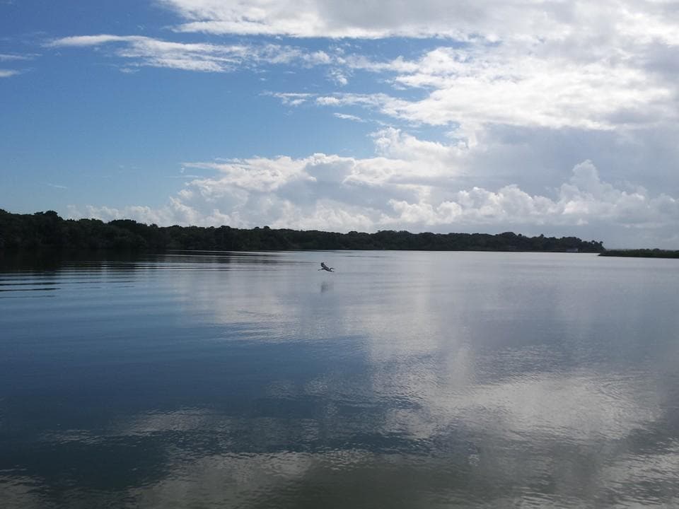 Tranquil river vista with cloudy sky and reflective water surface