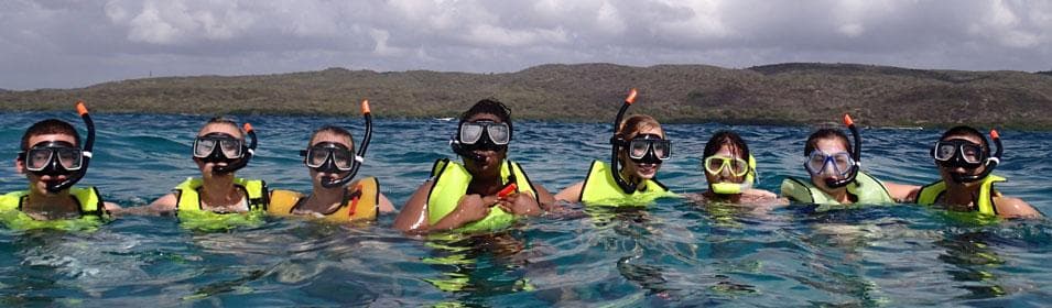 Snorkelers lined up in clear Caribbean waters near shore