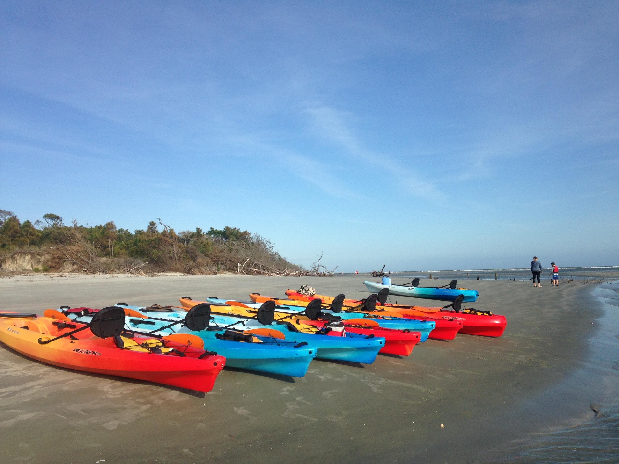 Row of colorful kayaks lined on a sandy beach at low tide