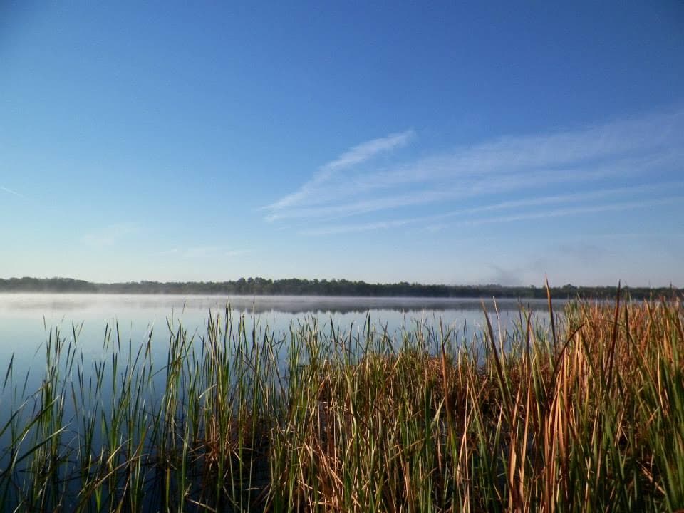 Peaceful marsh and lake at sunrise with reeds and blue sky