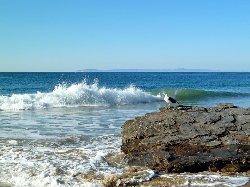 Gather Round the Glow: Crystal Cove Fire Pit Rentals in Newport Beach