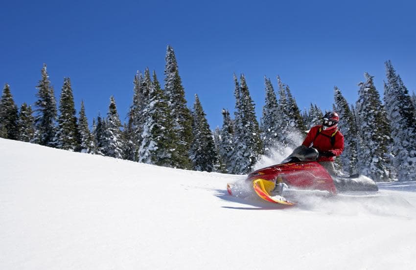 Snowmobiler carving powder on mountain slope with pine forest