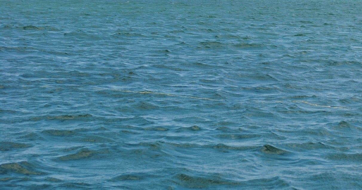 Water-Activities: Martha's Vineyard Oceansports Private Boat Tour