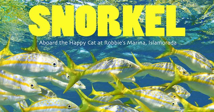 Snorkeling reef tour with school of yellow fish in shallow water