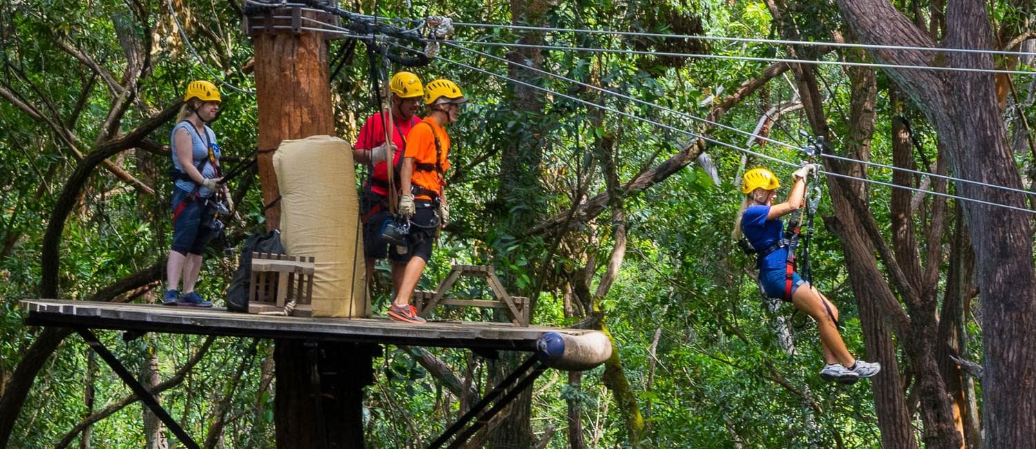 Kohala Zipline fleet