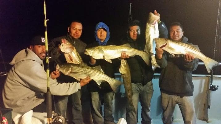Nighttime anglers posing with large striped bass on a fishing charter