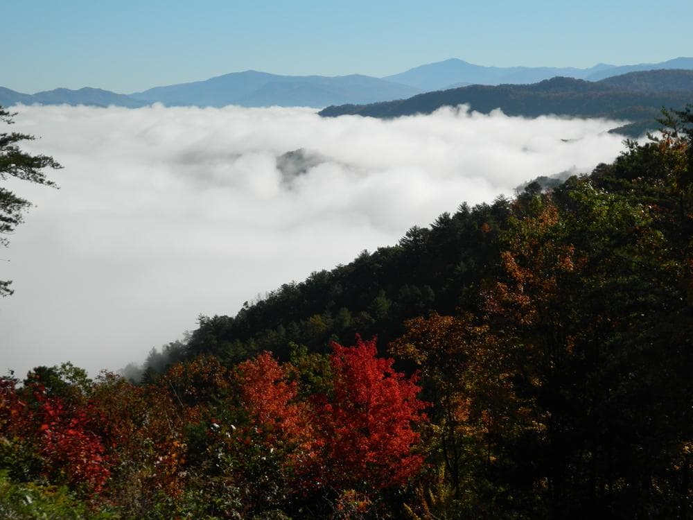 High Points Tour- Kuwohi (Clingmans Dome)