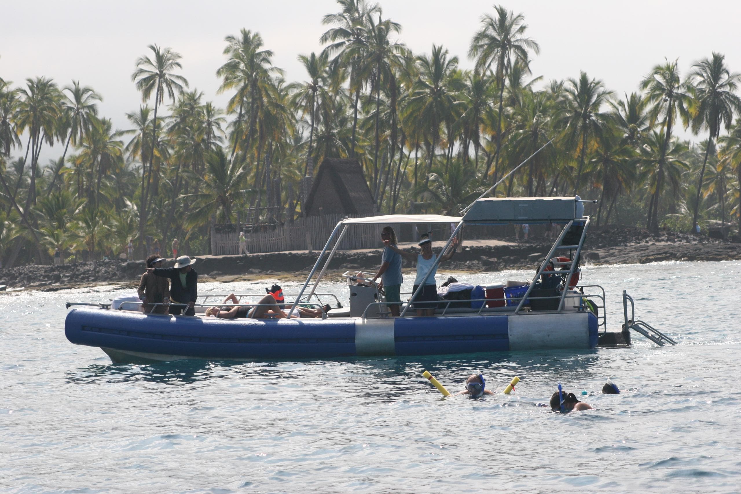 RIB tour boat with swimmers by palm-fringed tropical shoreline