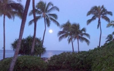 Stars Above Hawaii fleet
