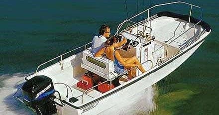 Water Activities: Martha's Vineyard Oceansports - Boston Whaler Adventures