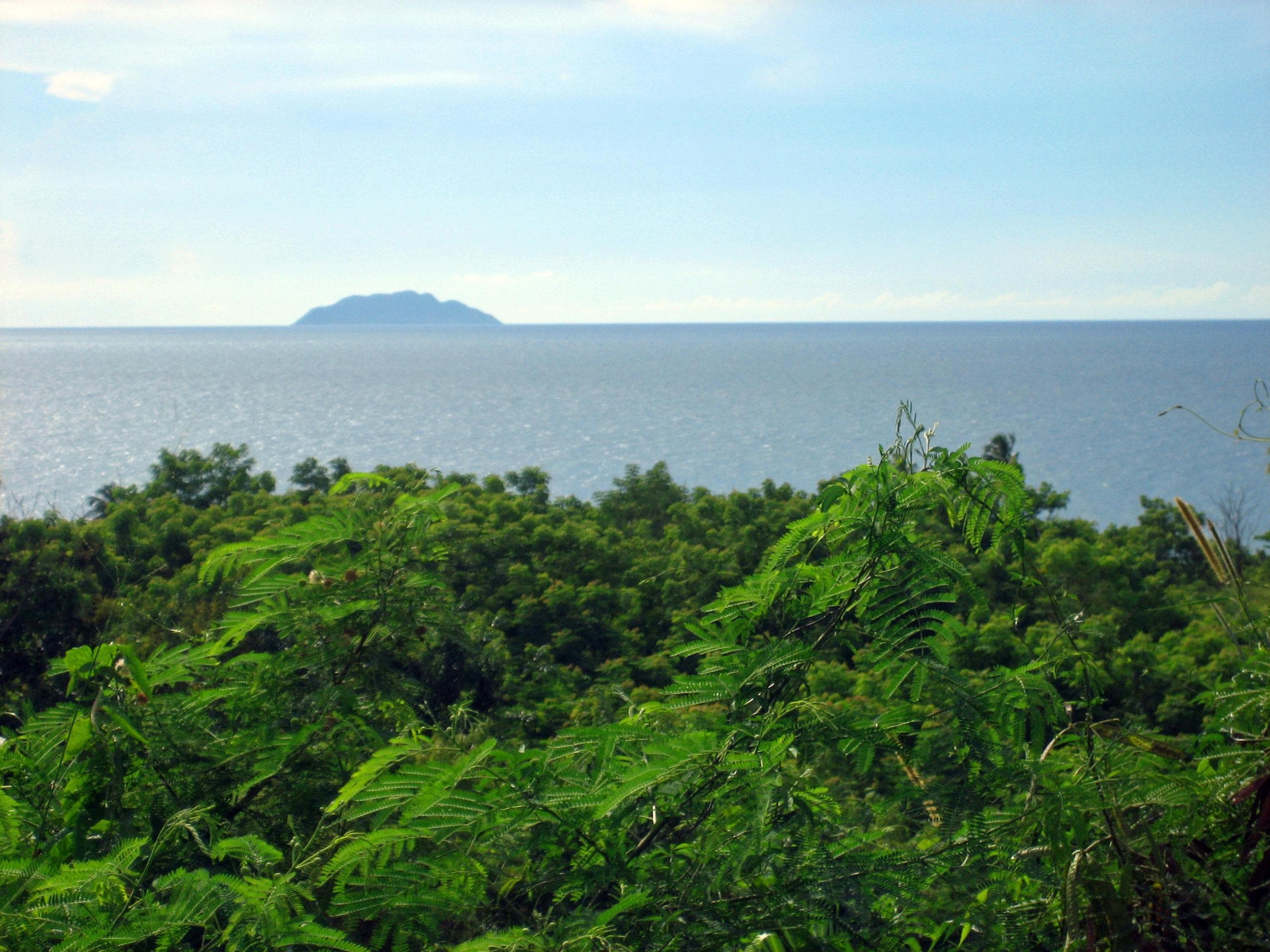 Ocean island view beyond verdant tropical canopy and horizon