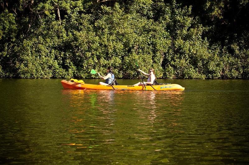 Secret Falls Tour: Hiking & Kayaking in Kapaʻa, Hawaii