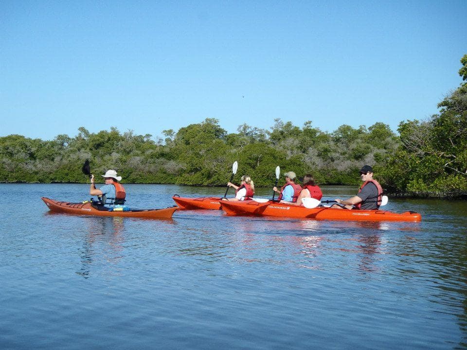 Red kayaks pulled up on shallow white sand near mangroves