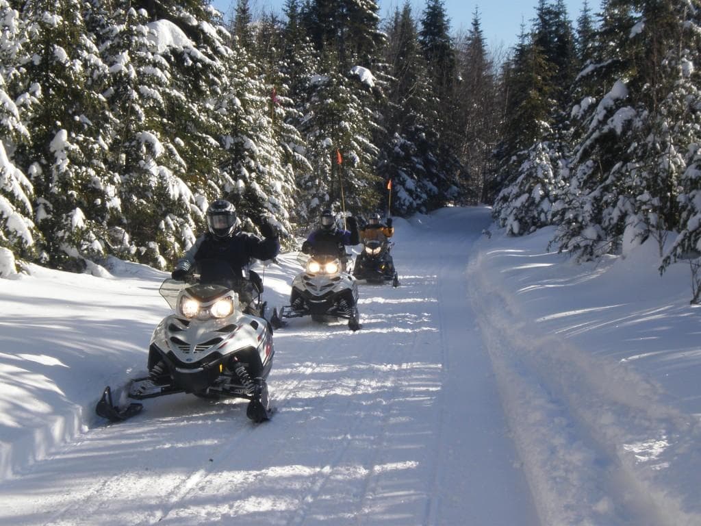 Guided snowmobile ride through snowy pine forest trail