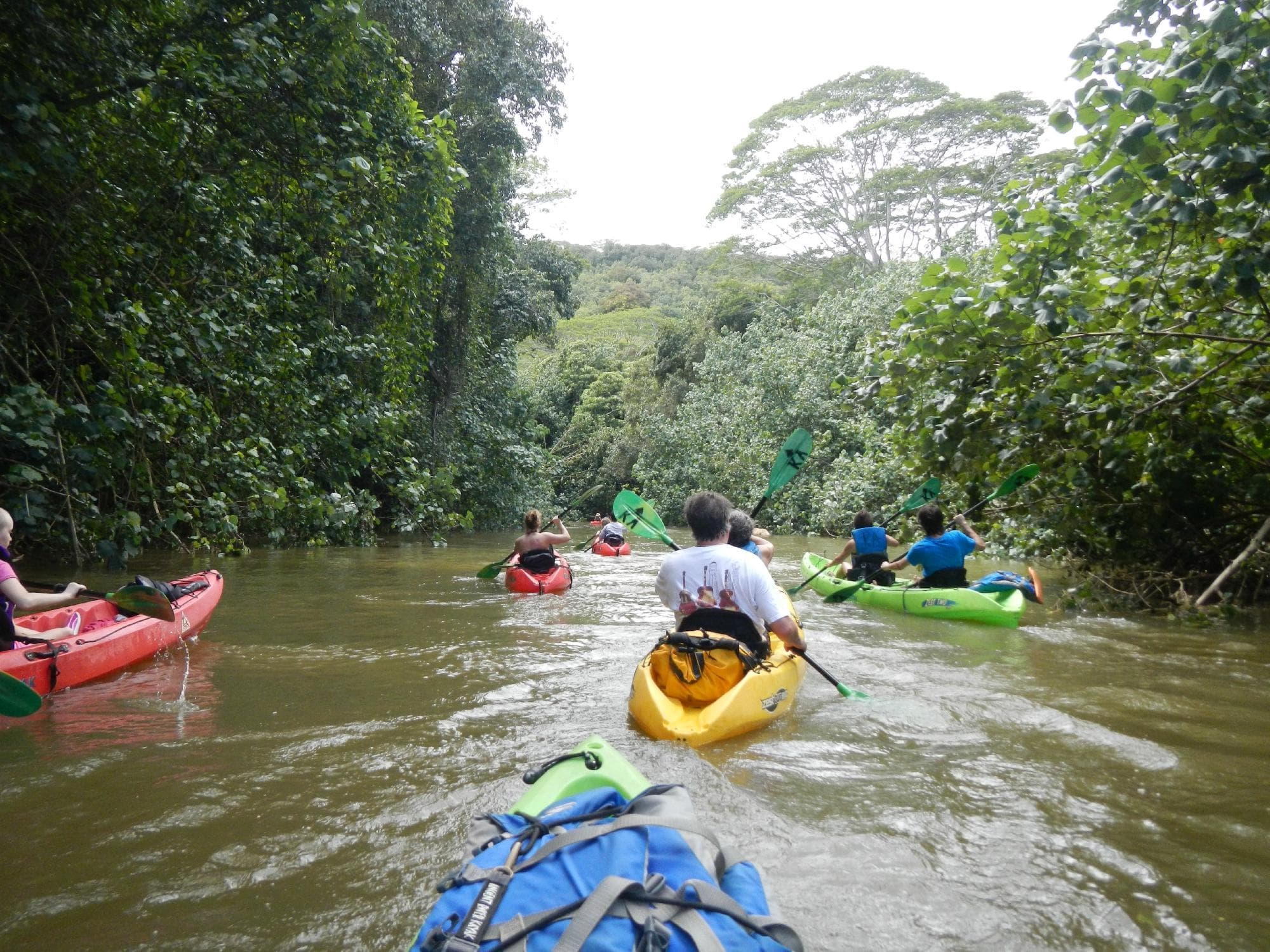 Rainbow Kayak Tours fleet