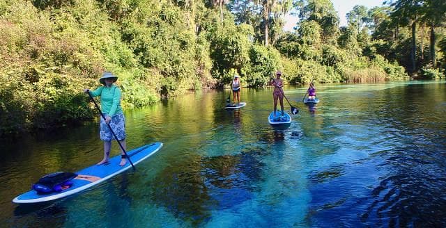 Group paddleboarding down scenic river through forested banks