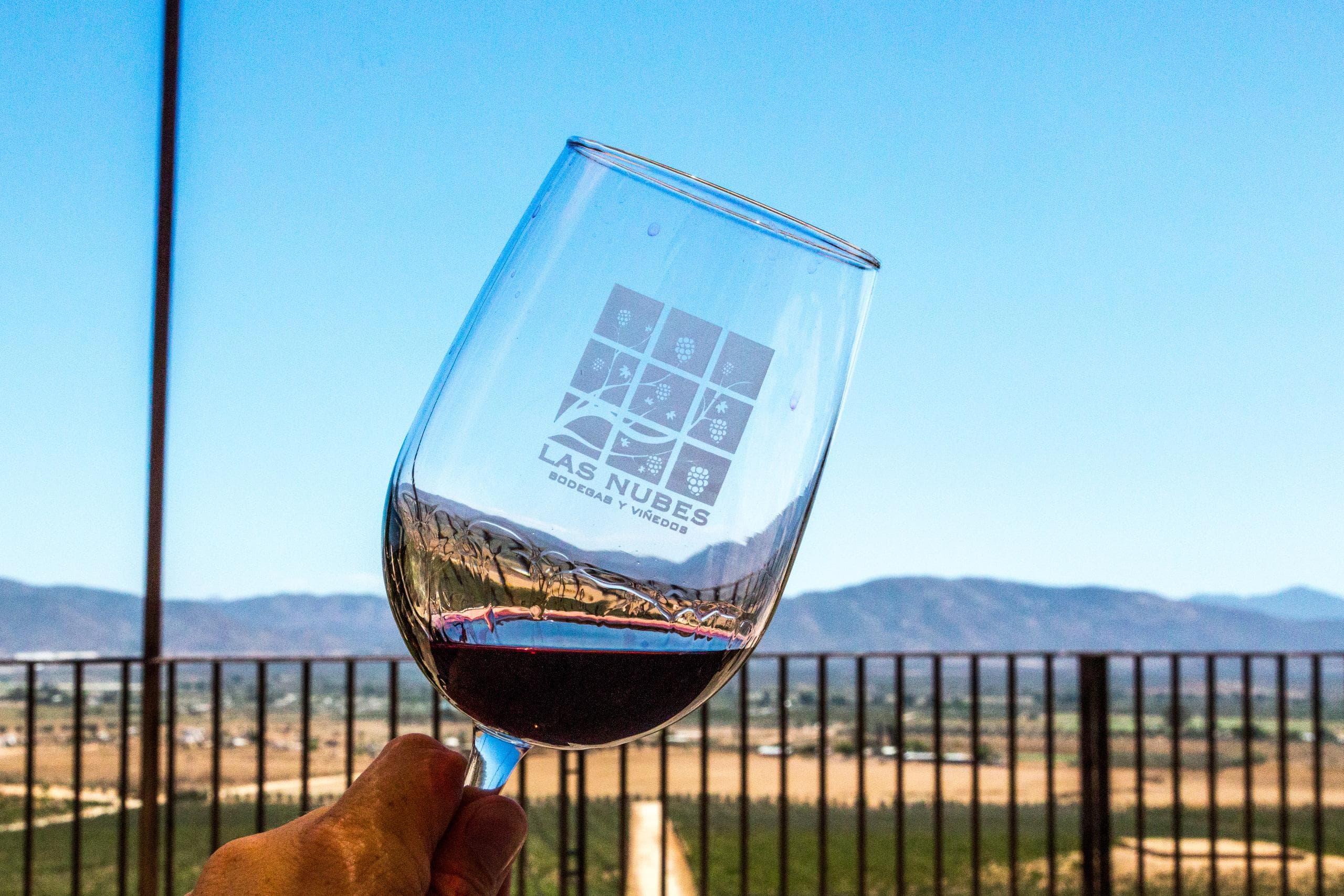 Baja Vino team