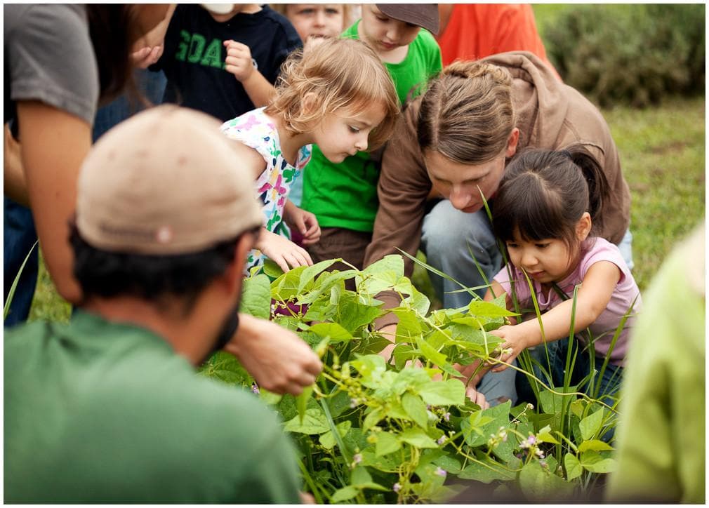 Children gardening in community outdoor plot planting vegetables