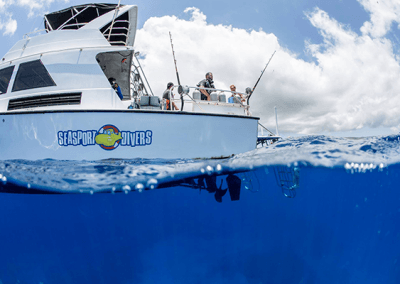 Diving charter boat half-submerged in clear tropical ocean, blue sky