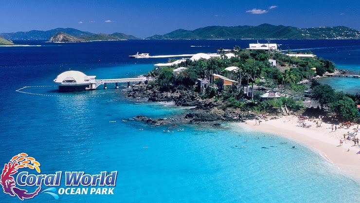 Explore Coral World Ocean Park at St. Thomas, USVI