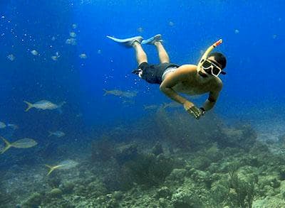 Snorkeling Tour in Rincón, Puerto Rico with Duke's Surf School