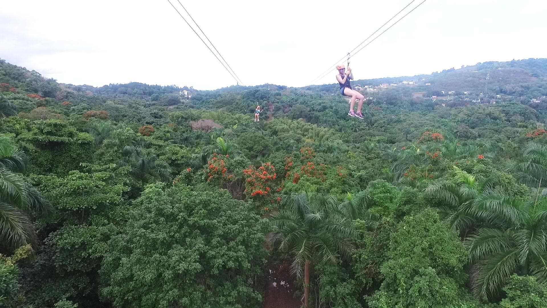 Thrilling Zipline Canopy Tour in Carolina, Puerto Rico