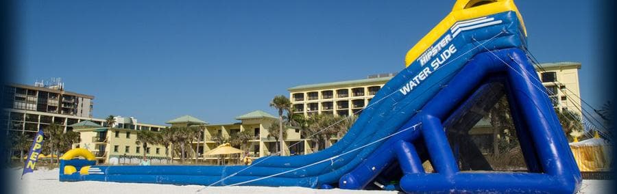 Suncoast Watersports Dolphin & Island Tours in St. Pete Beach