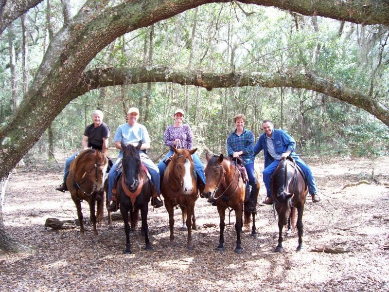 Group horseback ride under live oaks in shady forest trail