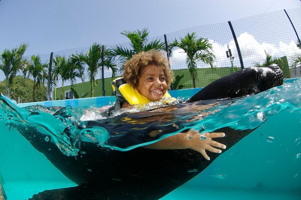 Coral World Ocean Park team