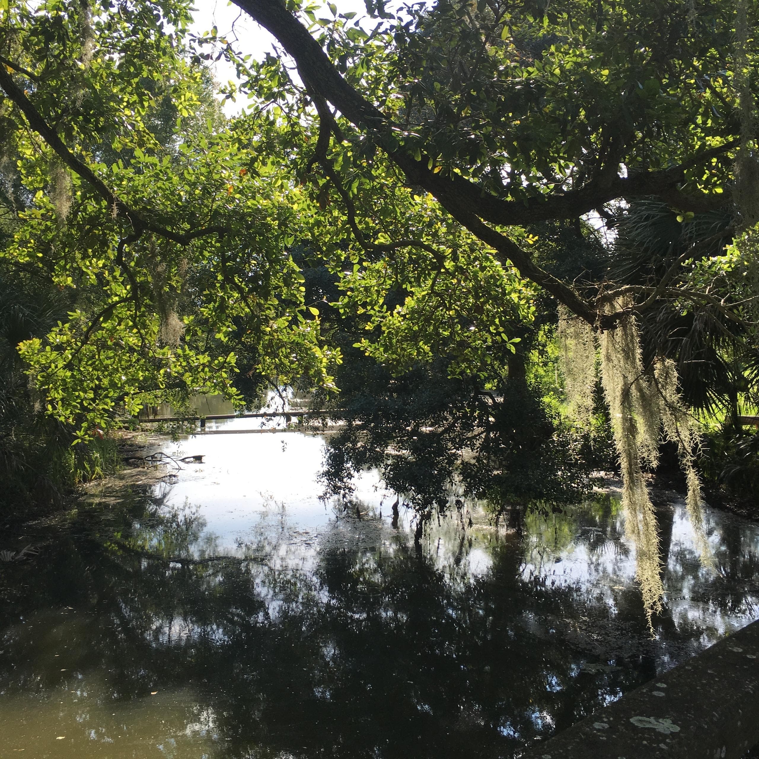 Water Activities & Wildlife Adventure at Bloody Mary's Tours