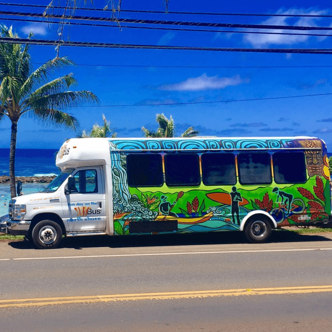 Explore Hawaii’s Exclusive Circle Island: Scenic Views, Culture & Adventure