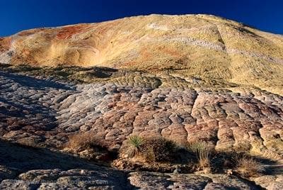 Climbing & Nature Tour with Yellow Rock in Grand Staircase-Escalante
