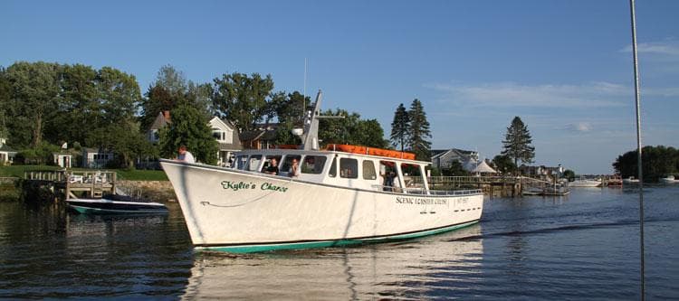 Whale watch tour boat cruising coastal harbor waters for wildlife viewing