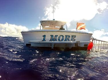 Hawaii Adventure Diving fleet