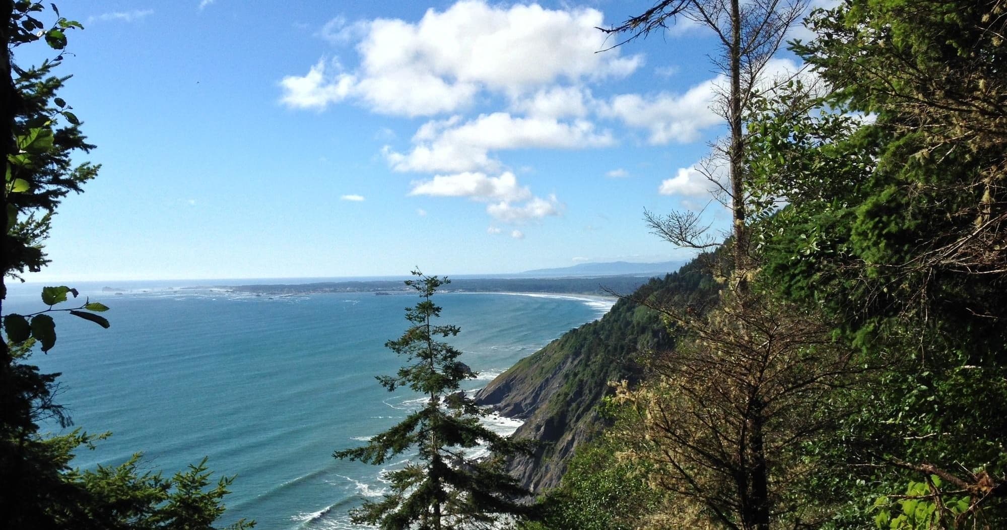 The Old Redwood Highway | Guided Tour in Eureka | Hiking, Attraction photo 1